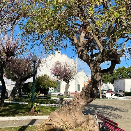 Casa Salto By Junto Ao Mar *