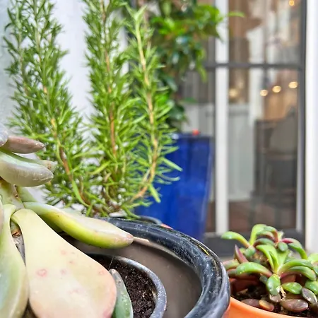 Casa Salto By Junto Ao Mar بيت للعطل *