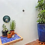 別荘 Casa Salto By Junto Ao Mar